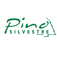 PINO SILVESTRE